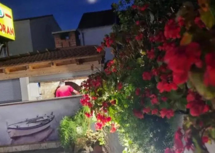 Peaceful With Style - Classic 特罗吉尔